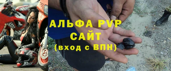 ГАЛЛЮЦИНОГЕННЫЕ ГРИБЫ Верея
