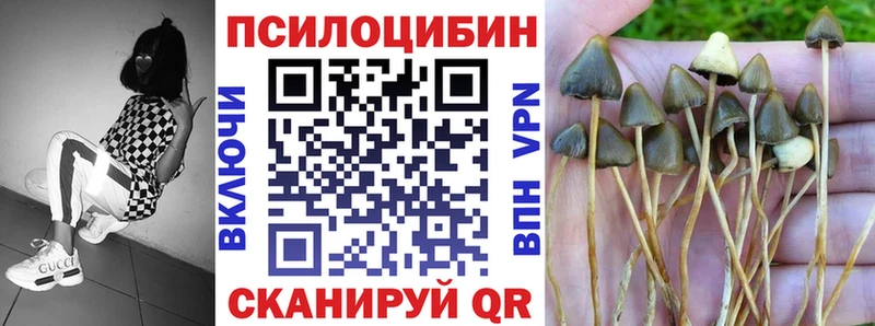 Псилоцибиновые грибы мицелий  гидра ТОР  Боровск  дарнет шоп 